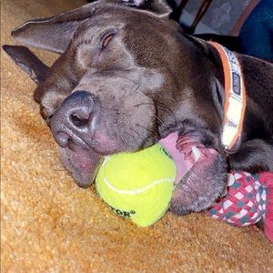 Meet your Posher, Milinda